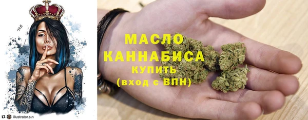 шишки Дмитриев