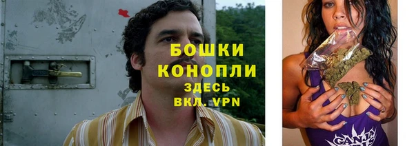 шишки Дмитриев