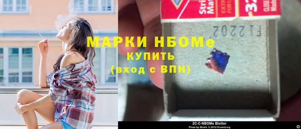 шишки Дмитриев