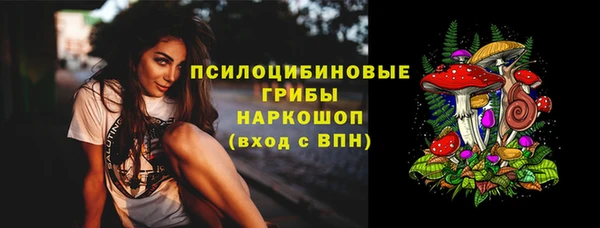 шишки Дмитриев