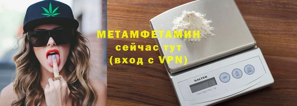 шишки Дмитриев