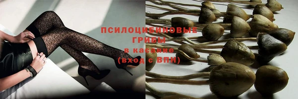 спиды Дмитровск