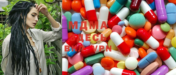шишки Дмитриев