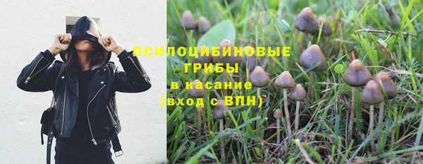 спиды Дмитровск