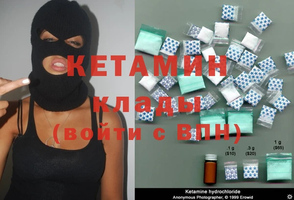 шишки Дмитриев