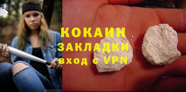 шишки Дмитриев
