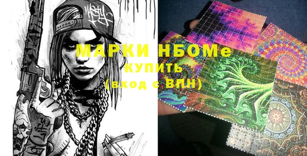 шишки Дмитриев