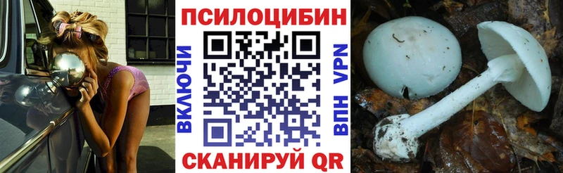 Галлюциногенные грибы мухоморы  Купить  Новоалександровск 